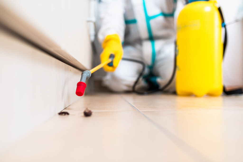 Cleveland Cockroach Experts