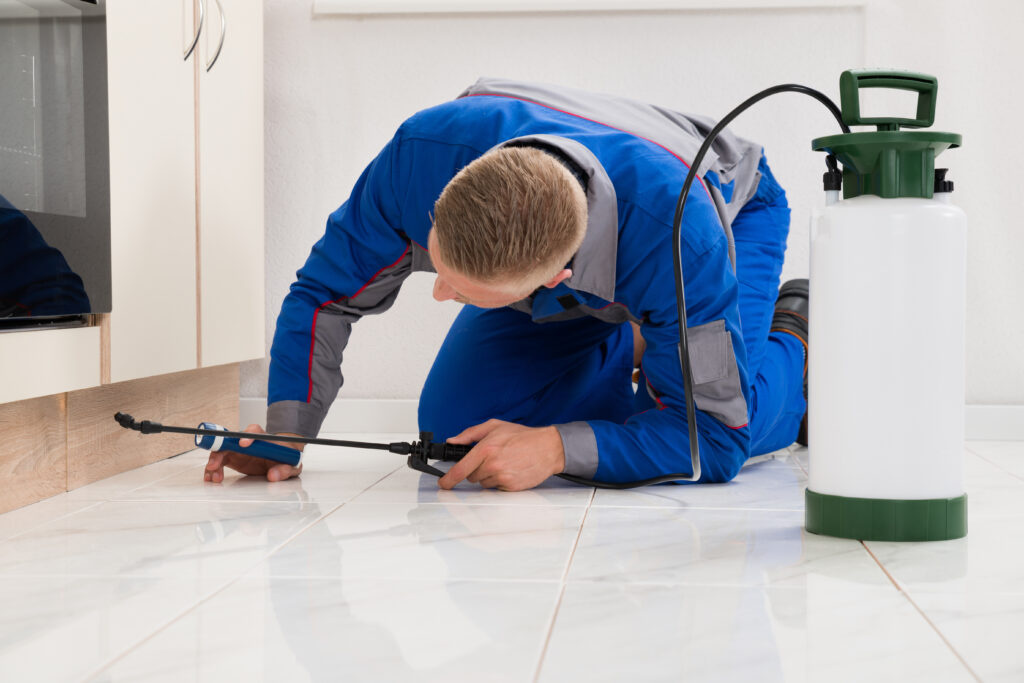 Cleveland Ant Control Xperts