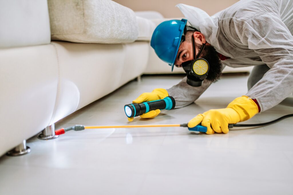 Cleveland Termite Control