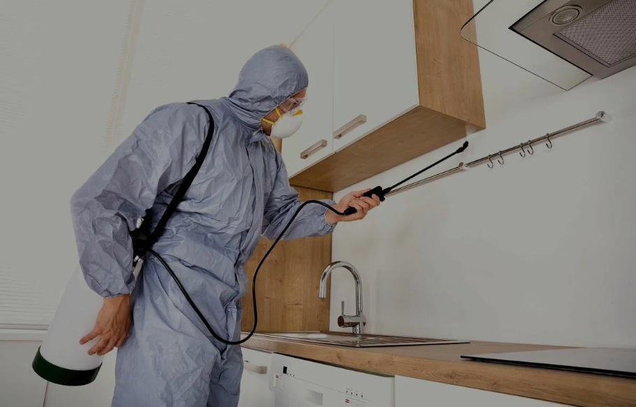 Cleveland pest managment